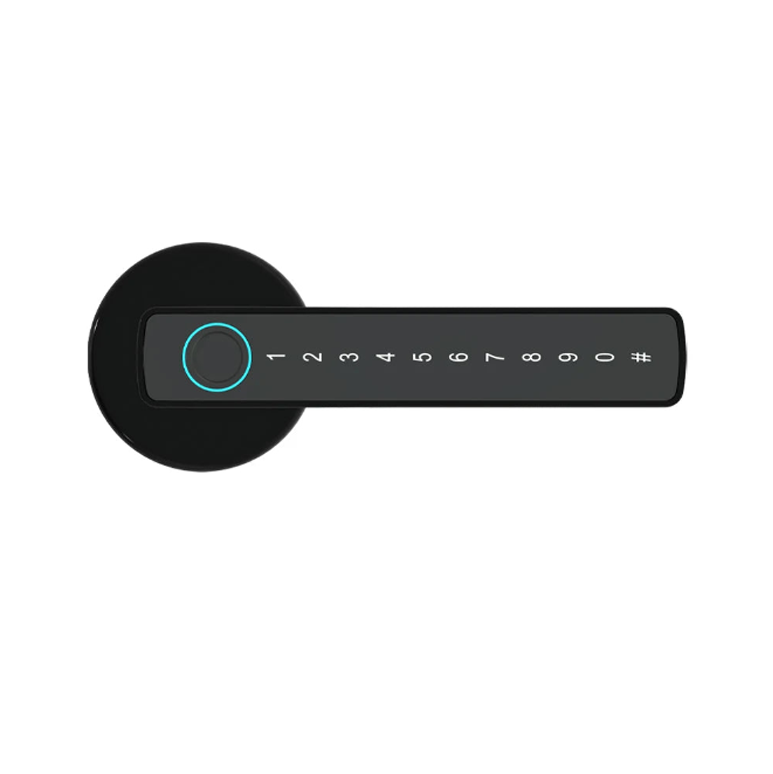 Safetouch Multi-Access Smart Doorknob