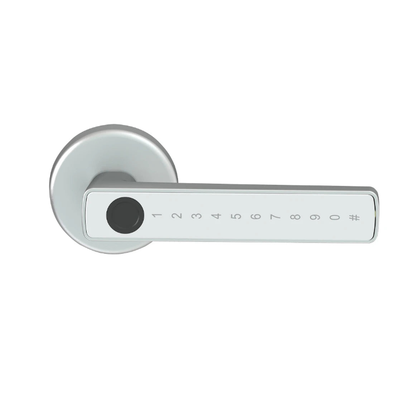 Safetouch Multi-Access Smart Doorknob
